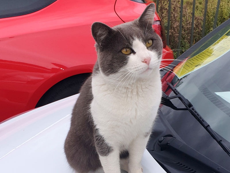 /var/www/vhosts/approved-cars.co.uk/httpdocs/admin/uploaded_photos/IG_79_dc4.jpg